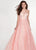 Rachel Allan - 6636 Plunging Sweetheart Glitter Floral Tulle Gown In Pink
