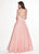 Rachel Allan - 6636 Plunging Sweetheart Glitter Floral Tulle Gown In Pink