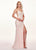 Rachel Allan - 6640 Floral Appliqued Backless Lace Gown In Pink