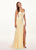 Rachel Allan - 6640 Floral Appliqued Backless Lace Gown In Yellow