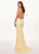 Rachel Allan - 6640 Floral Appliqued Backless Lace Gown In Yellow