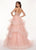 Rachel Allan - 6642 Sleeveless V Neck Beaded Tiered Ballgown In Pink