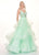 Rachel Allan - 6642 Sleeveless V Neck Beaded Tiered Ballgown In Green