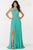 Alyce Paris Prom Collection - 6678 Dress