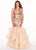 Rachel Allan Curves - 6688 Sequined Halter Organza Mermaid Dress In Neutral