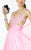 Alyce Paris B'Dazzle - 35766 Strappy Beaded Lace Evening Gown in Pink