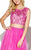 Jolene Collection - 16092 Two-Piece Embroidered Illusion Gown In Pink and Neutral