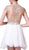 Cinderella Divine - Lace Appliqued Bodice Empire Waist Cocktail Dress 71 In White and Neutral