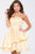 Fan Bust Line Satin A-Line Dress  JVN45677
