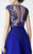Illusion Bateau Neck A-Line Dress 2935