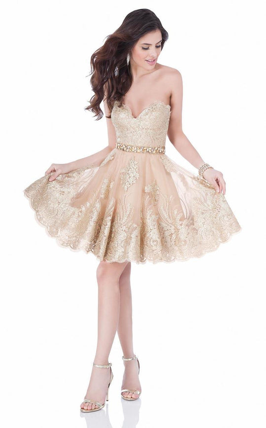 Terani Couture - Sophisticated Sweetheart Lace Cocktail Dress 1622H1115 In Gold and Neutral