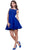 Lace Embroidered Dress