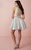 Tiffany Homecoming - Short Sweetheart Beaded Dress 27107 In Silver