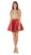 Poly USA - 7495 Lace Appliqued Bateau A-Line Cocktail Dress in Red