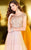 Shail K - Intricately Ornate Sheer Paneled Long Gown with Cap Sleeves 1123 In Pink