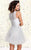Shail K - Dainty Lace Illusion Cocktail Dress with Layered Tutu Skirt 4045 In Silver