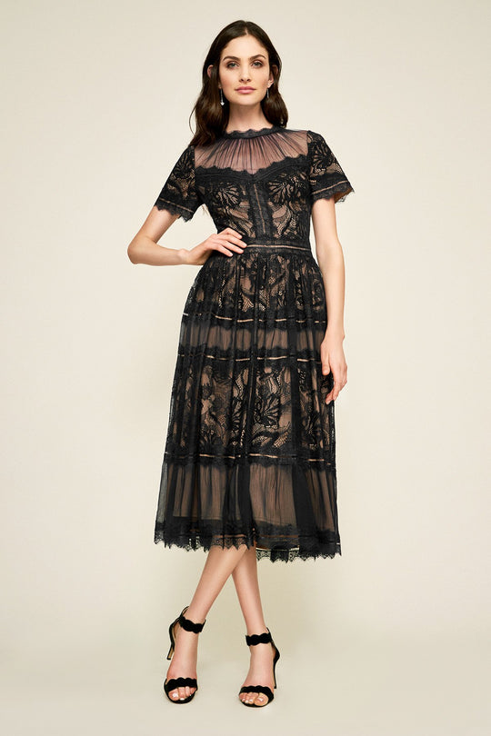 Tadashi Shoji - Illusion Neckline Sheer Lace Tea Length Dress In Black and Neutral