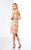 Social Occasions by Mon Cheri - 117825 A-Line Dress in Neutral