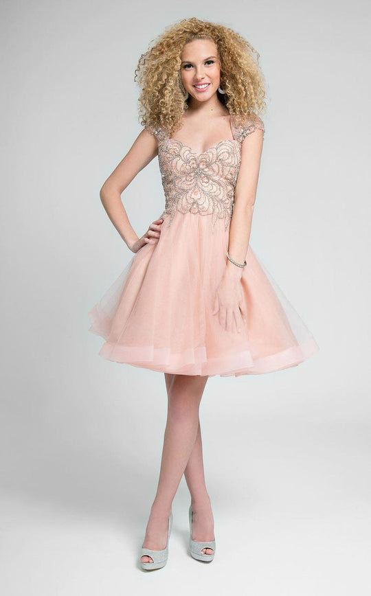 Terani Couture - Gorgeous Embellished Queen Anne Neck Short A-line Dress 1711P2230 In Pink