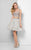 Detailed Beaded Illusion Neck Two-piece Tulle Dress 1711P2233