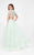 Terani Couture - Elegant Two Piece Short Sleeve Hi-low Gown 1712P2743 In Green