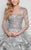 Terani Couture - Illusion Sleeve Ruffled Organza Gown 1711E3213 In Silver