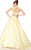Panoply - Two-Piece Lace Illusion Woven Organza A-Line Gown 14809 in Yellow