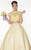 Panoply - Two-Piece Lace Illusion Woven Organza A-Line Gown 14809 in Yellow