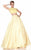 Panoply - Two-Piece Lace Illusion Woven Organza A-Line Gown 14809 in Yellow