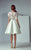 3151 Lace Illusion Embroidered Dress