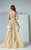 3154 Cap Sleeve Bateau Overskirt Gown