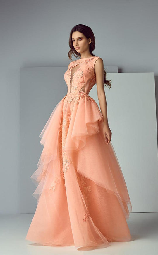 3164 Illusion Applique Ruffled Gown