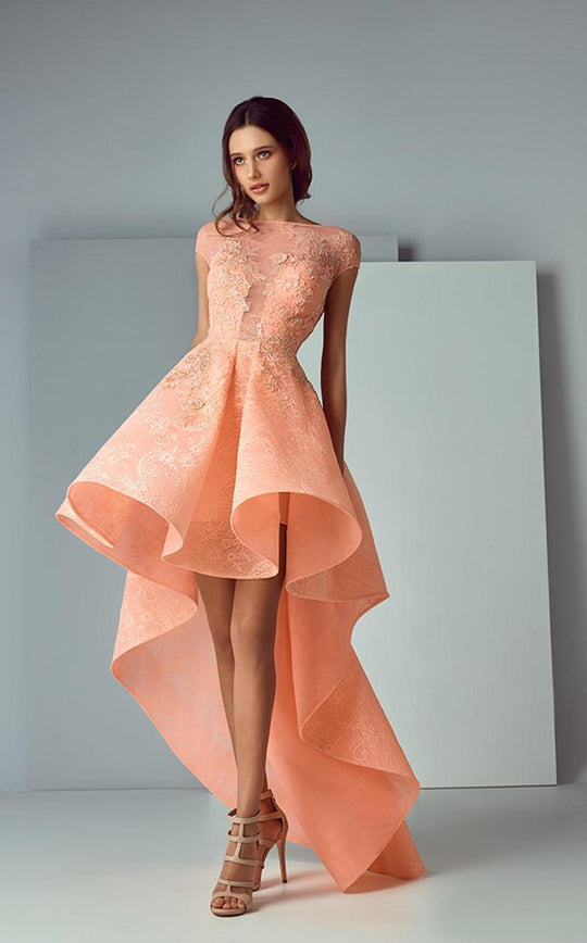 3166 Cap Sleeve Illusion High Low Gown