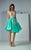 3177 Illusion Bateau Applique Dress