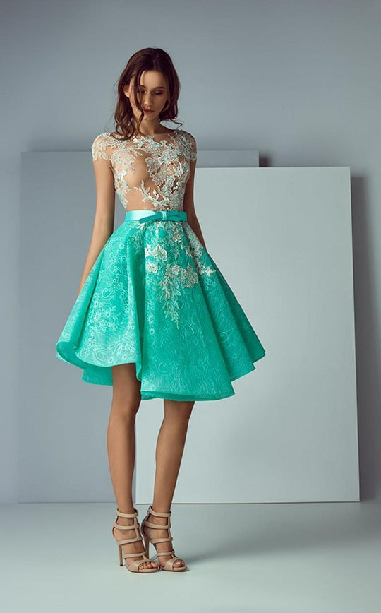 3177 Illusion Bateau Applique Dress