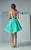 3177 Illusion Bateau Applique Dress