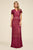 Tadashi Shoji - Lace Short Sleeve V-neck Fitted Dress In Red and Neutral