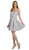 Poly USA - 8028 Beaded Draped Sweetheart Chiffon A-line Dress In Silver
