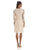 Adrianna Papell - 14251110 Lace Scoop Neck Column Dress in Pink