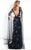 Rachel Allan Prima Donna - 5976 Sheer Tulle and Floral Applique Gown in Black