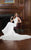 Rachel Allan Bridal - Silk Satin Bateau Mermaid Dress M628 in White