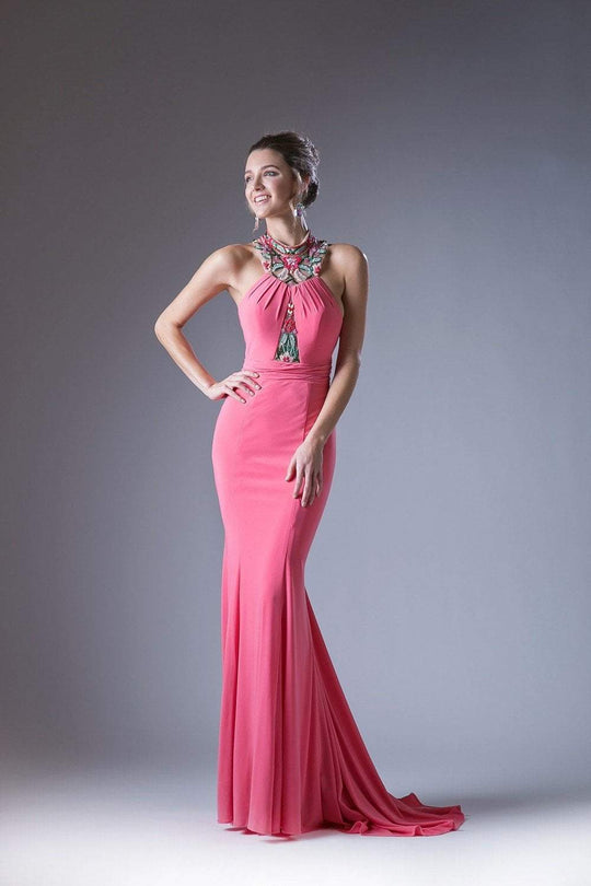 Cinderella Divine - 83964 Floral Embroidered Illusion High Neck Gown In Pink