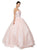 Dancing Queen - 8777 Strapless Embroidered Sheer Evening Gown