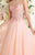 Tarik Ediz - MTE92323 Illusion Ornate Feathered Tulle Gown In Pink