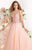 Tarik Ediz - MTE92323 Illusion Ornate Feathered Tulle Gown In Pink