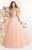 Tarik Ediz - MTE92323 Illusion Ornate Feathered Tulle Gown In Pink