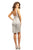 Johnathan Kayne - 9253 Illusion Neckline Sleeveless Sheath Dress In Gray