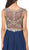 Dancing Queen - 9266 Embroidered-Lace Bodice Chiffon Long Prom Dress in Blue
