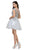 Dancing Queen - 9489 Lace Applique A-line Cocktail Dress In Silver
