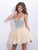 Blush - Crystal V-Neck Chiffon A-Line Cocktail Dress 9857 in Neutral